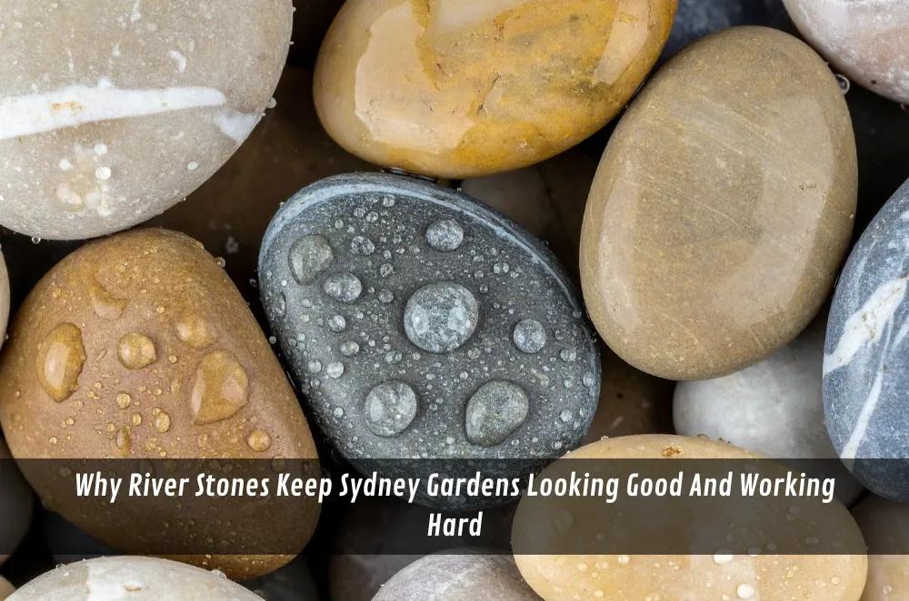 Why River Stones Keep Sydney Gardens Looking Good And Working Hard